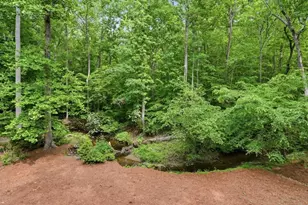 280 Flowing Spring Trail, Roswell, GA 30075 - Photo 36