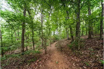 3482 Abbey Way, Gainesville, GA 30507 - Photo 52