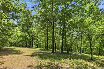 1709 Harrington Road, Ball Ground, GA 30107 - Photo 44