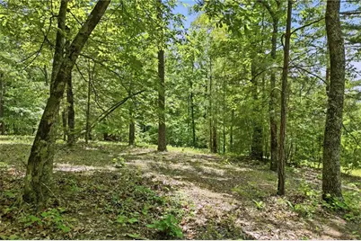 1709 Harrington Road, Ball Ground, GA 30107 - Photo 46