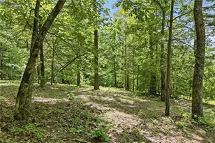 1709 Harrington Rd, Ball Ground, GA 30107 - Photo 46