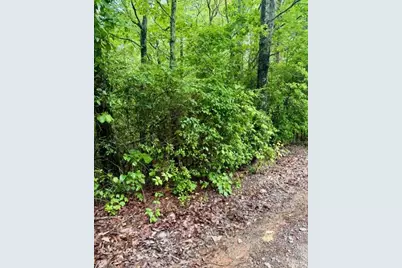00 Soaring Hawk Trail, Cleveland, GA 30528 - Photo 10