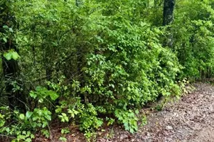 00 Soaring Hawk Trail, Cleveland, GA 30528 - Photo 10