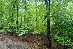 00 Soaring Hawk Trail, Cleveland, GA 30528 - Photo 6