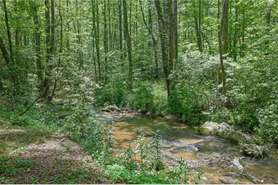 9368 Highway 52 W, Dahlonega, GA 30533 - Photo 34