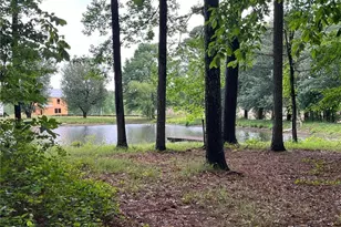4190 Beaver Rd, Loganville, GA 30052 - Photo 76