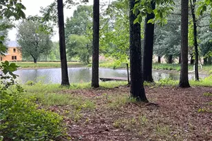 4190 Beaver Rd, Loganville, GA 30052 - Photo 70