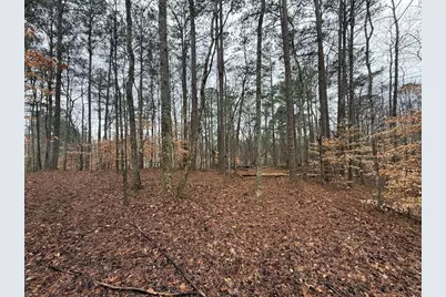 1666 Rock Springs Lane, Woodstock, GA 30188 - Photo 2