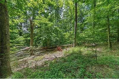 0 Collett Drive, Canton, GA 30115 - Photo 28