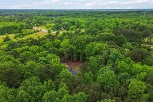 91 Sorrow Rd, Stockbridge, GA 30281 - Photo 30