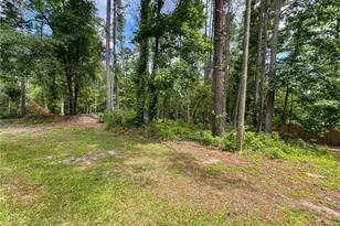 0 Howard, Senoia, GA 30276 - Photo 20