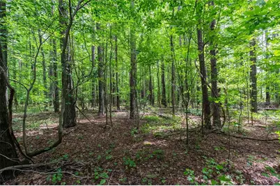 0 Macland Road, Dallas, GA 30157 - Photo 12