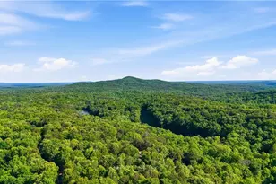 122 Woodstream Point, Big Canoe, GA 30143 - Photo 68
