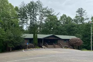 60 Clubhouse Ct, Ellijay, GA 30536 - Photo 56