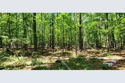 4980 Wynship Lane, Snellville, GA 30039 - Photo 4