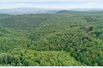 232 Andes Ridge, Ellijay, GA 30540 - Photo 16