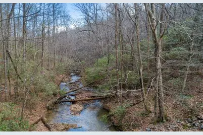 232 Andes Ridge, Ellijay, GA 30540 - Photo 4