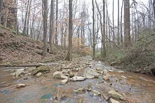 4630 Ansley Ln, Cumming, GA 30040 - Photo 68