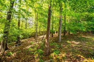 210 Creekside Overlook, Hiram, GA 30141 - Photo 98