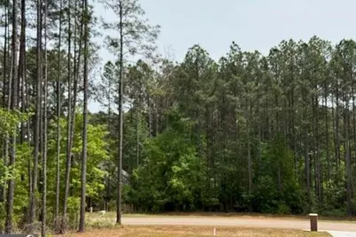 30 Mattie Court, Mansfield, GA 30055 - Photo 4