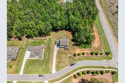 33 Ryeland Drive, Senoia, GA 30276 - Photo 8