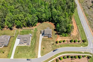 33 Ryeland Dr, Senoia, GA 30276 - Photo 8