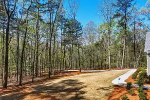 320 Fern Park Dr, Dawsonville, GA 30534 - Photo 8