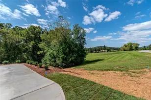 1250 Owen Glen Dr, Blairsville, GA 30512 - Photo 78