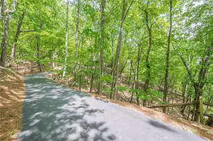 61 Deer Run Ridge, Jasper, GA 30143 - Photo 46