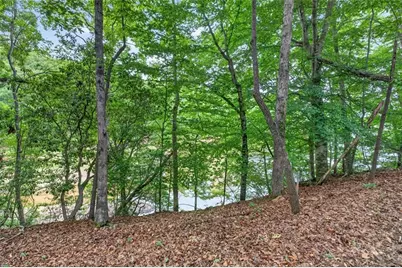 3327 Hickory Point, Gainesville, GA 30506 - Photo 52