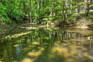 197 Tipton Court, Cherry Log, GA 30522 - Photo 58