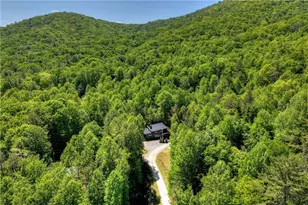 197 Tipton Court, Cherry Log, GA 30522 - Photo 54