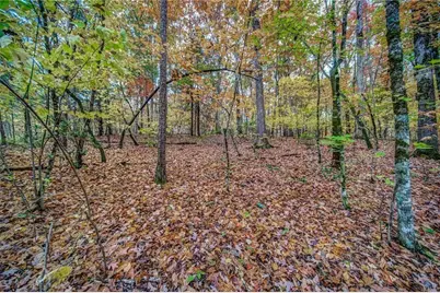 543 Cove Lake Drive, Marble Hill, GA 30148 - Photo 2