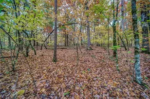 543 Cv Lk Dr, Marble Hill, GA 30148 - Photo 1