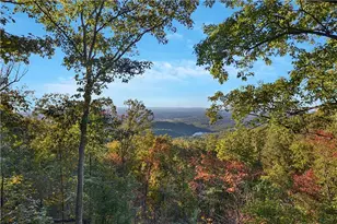 198 Stirratt Rd, Ranger, GA 30734 - Photo 74