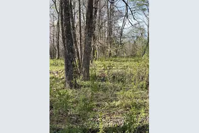 0 Browning Road, Fairmount, GA 30139 - Photo 6