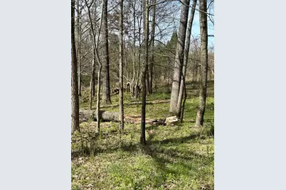 0 Browning Road, Fairmount, GA 30139 - Photo 4