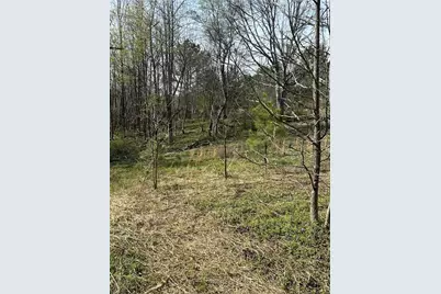 0 Browning Road, Fairmount, GA 30139 - Photo 10