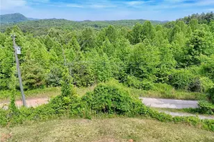 306 Frontier Rd, Tiger, GA 30576 - Photo 52