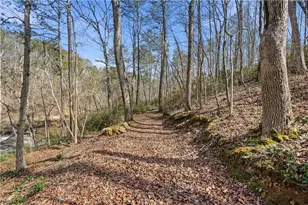 8010 Thunder River Way, Cumming, GA 30028 - Photo 66
