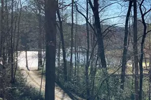 68 Star Lake Ln, Sautee Nacoochee, GA 30571 - Photo 2
