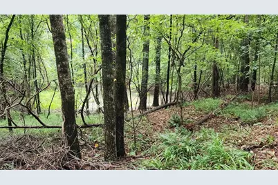 1661 Friendship Road, Hoschton, GA 30548 - Photo 28
