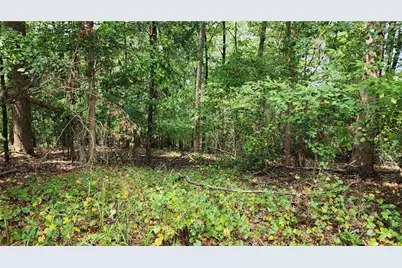 1661 Friendship Road, Hoschton, GA 30548 - Photo 40
