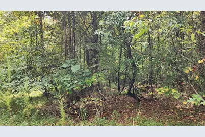 1661 Friendship Road, Hoschton, GA 30548 - Photo 42