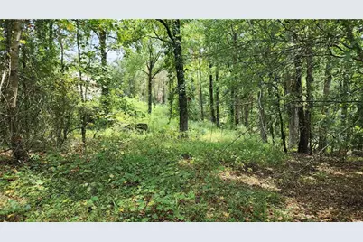 1661 Friendship Road, Hoschton, GA 30548 - Photo 50