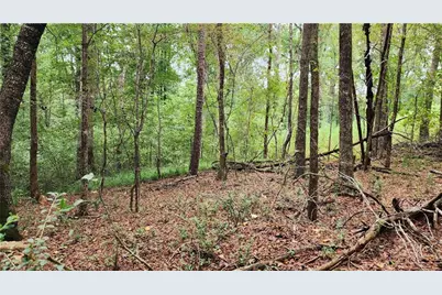 1661 Friendship Road, Hoschton, GA 30548 - Photo 32