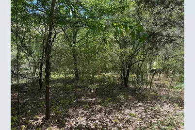 1593 Old Alabama Road, Taylorsville, GA 30178 - Photo 26