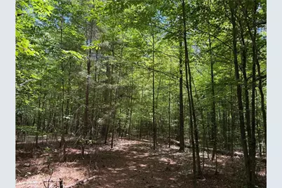 1593 Old Alabama Road, Taylorsville, GA 30178 - Photo 20