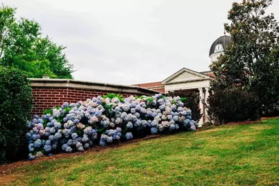 3730 Ivy Cottage Drive, Snellville, GA 30039 - Photo 54