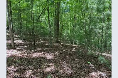 0 Nectar Lane, Ellijay, GA 30540 - Photo 6